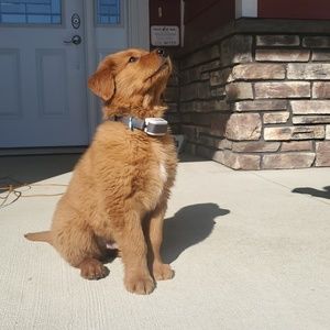 Meet your Posher, Robin